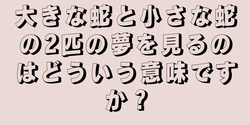 大きな蛇と小さな蛇の2匹の夢を見るのはどういう意味ですか？