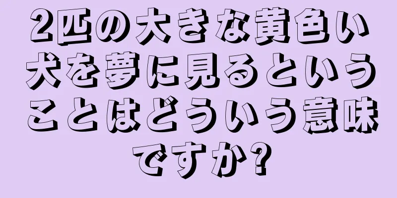 2匹の大きな黄色い犬を夢に見るということはどういう意味ですか?