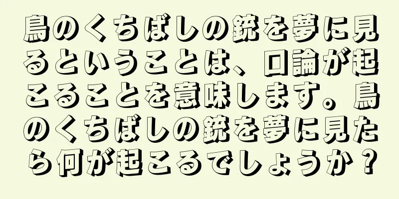 鳥のくちばしの銃を夢に見るということは、口論が起こることを意味します。鳥のくちばしの銃を夢に見たら何が起こるでしょうか？