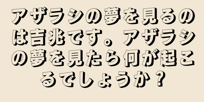 アザラシの夢を見るのは吉兆です。アザラシの夢を見たら何が起こるでしょうか？