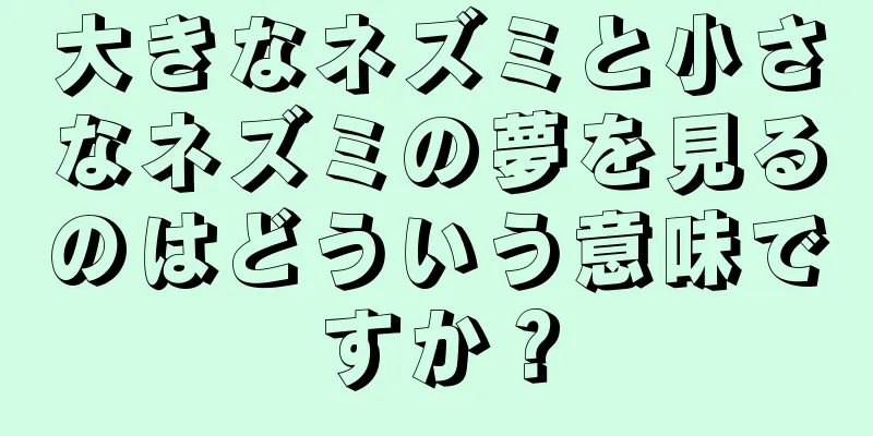 大きなネズミと小さなネズミの夢を見るのはどういう意味ですか？