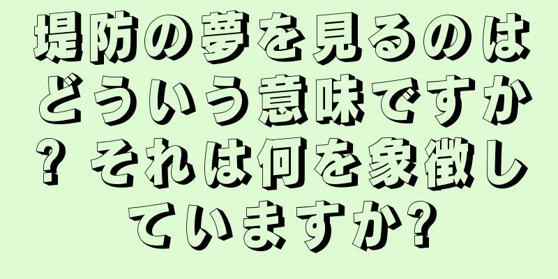 堤防の夢を見るのはどういう意味ですか? それは何を象徴していますか?