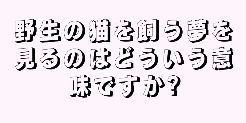 野生の猫を飼う夢を見るのはどういう意味ですか?