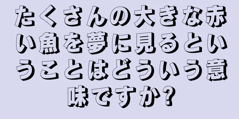 たくさんの大きな赤い魚を夢に見るということはどういう意味ですか?