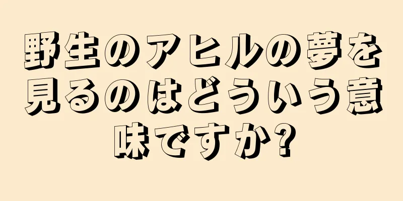 野生のアヒルの夢を見るのはどういう意味ですか?