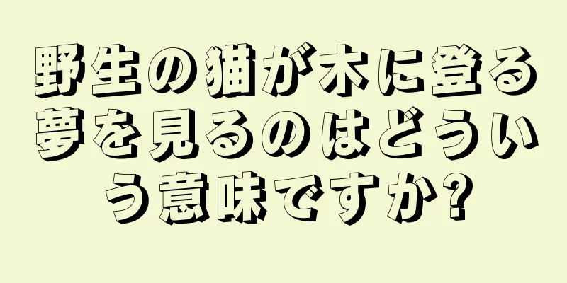 野生の猫が木に登る夢を見るのはどういう意味ですか?