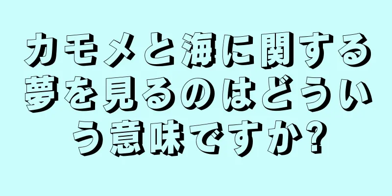 カモメと海に関する夢を見るのはどういう意味ですか?