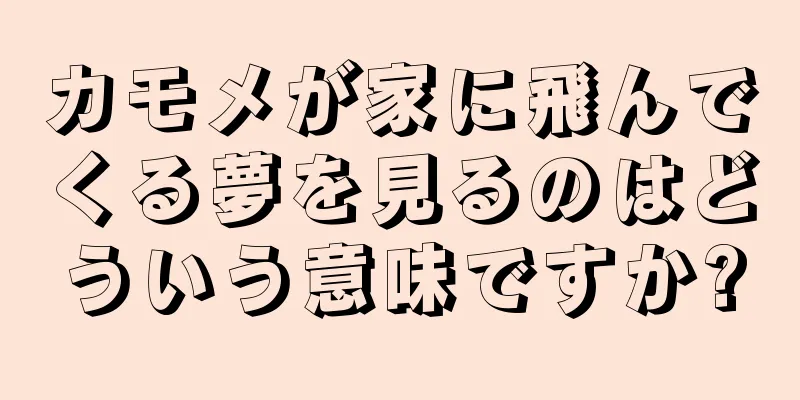 カモメが家に飛んでくる夢を見るのはどういう意味ですか?