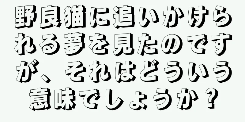 野良猫に追いかけられる夢を見たのですが、それはどういう意味でしょうか？