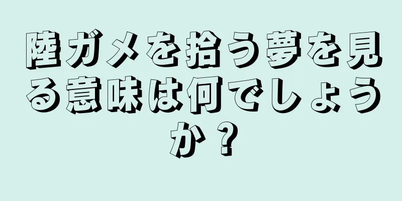 陸ガメを拾う夢を見る意味は何でしょうか？