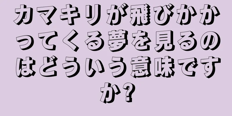 カマキリが飛びかかってくる夢を見るのはどういう意味ですか?