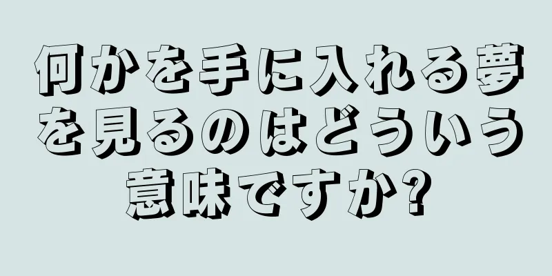 何かを手に入れる夢を見るのはどういう意味ですか?