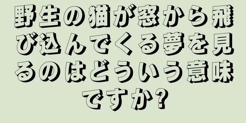 野生の猫が窓から飛び込んでくる夢を見るのはどういう意味ですか?