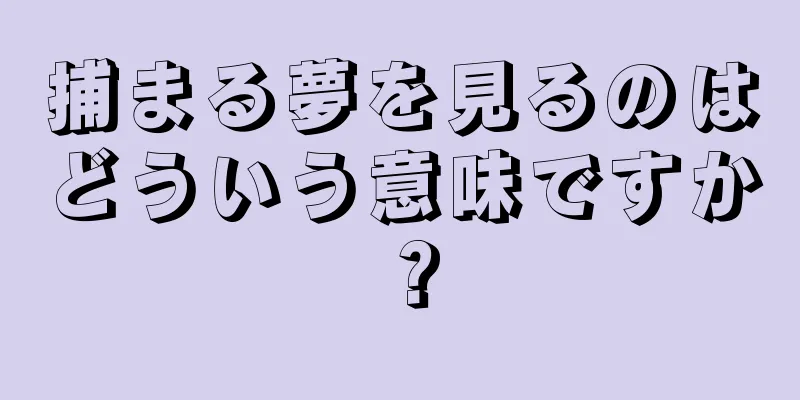 捕まる夢を見るのはどういう意味ですか？