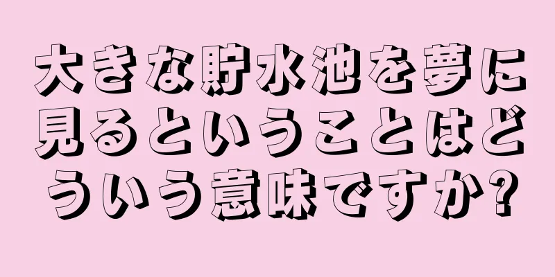 大きな貯水池を夢に見るということはどういう意味ですか?