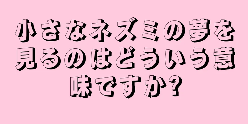 小さなネズミの夢を見るのはどういう意味ですか?
