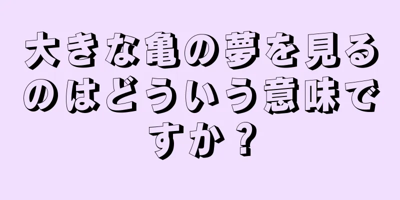 大きな亀の夢を見るのはどういう意味ですか？