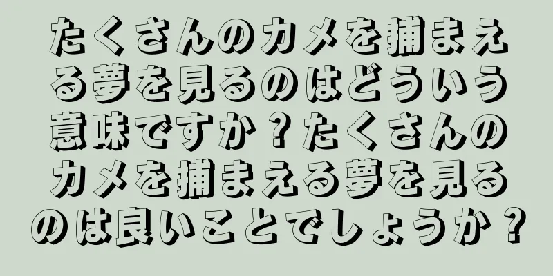 たくさんのカメを捕まえる夢を見るのはどういう意味ですか？たくさんのカメを捕まえる夢を見るのは良いことでしょうか？