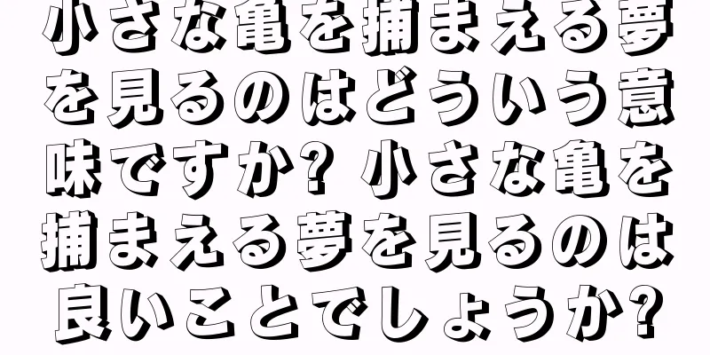 小さな亀を捕まえる夢を見るのはどういう意味ですか? 小さな亀を捕まえる夢を見るのは良いことでしょうか?