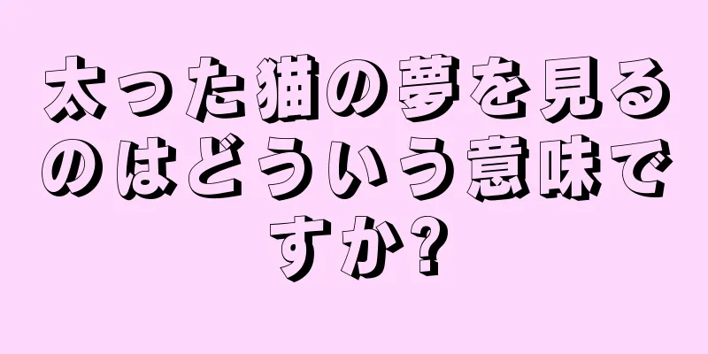 太った猫の夢を見るのはどういう意味ですか?