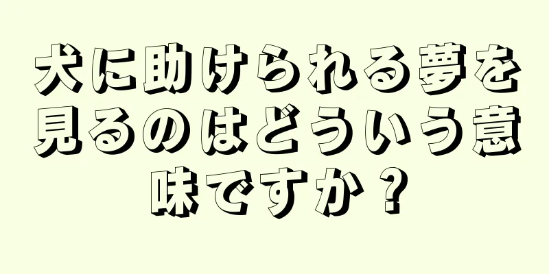 犬に助けられる夢を見るのはどういう意味ですか？