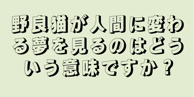 野良猫が人間に変わる夢を見るのはどういう意味ですか？