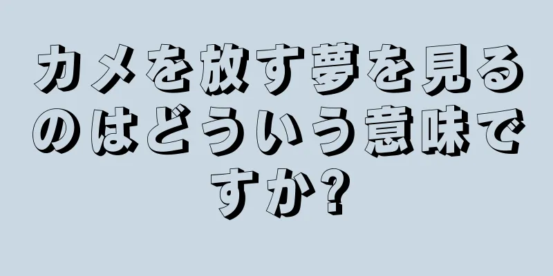 カメを放す夢を見るのはどういう意味ですか?