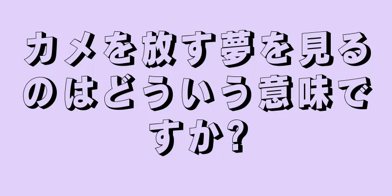 カメを放す夢を見るのはどういう意味ですか?