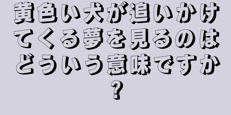 黄色い犬が追いかけてくる夢を見るのはどういう意味ですか?