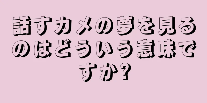 話すカメの夢を見るのはどういう意味ですか?