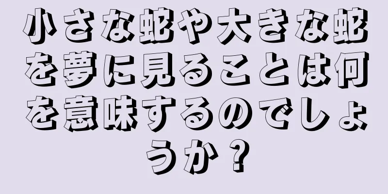 小さな蛇や大きな蛇を夢に見ることは何を意味するのでしょうか？
