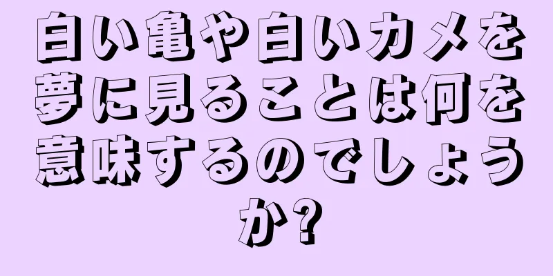 白い亀や白いカメを夢に見ることは何を意味するのでしょうか?