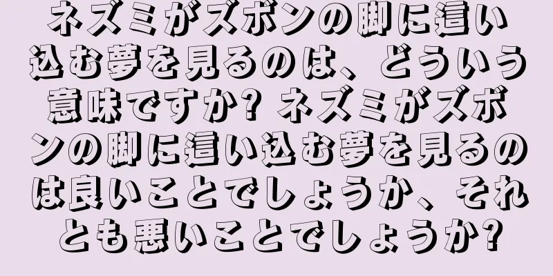 ネズミがズボンの脚に這い込む夢を見るのは、どういう意味ですか? ネズミがズボンの脚に這い込む夢を見るのは良いことでしょうか、それとも悪いことでしょうか?