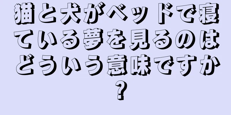 猫と犬がベッドで寝ている夢を見るのはどういう意味ですか？