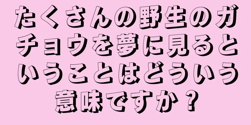 たくさんの野生のガチョウを夢に見るということはどういう意味ですか？