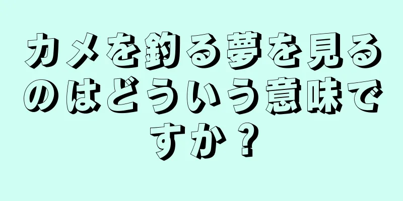 カメを釣る夢を見るのはどういう意味ですか？
