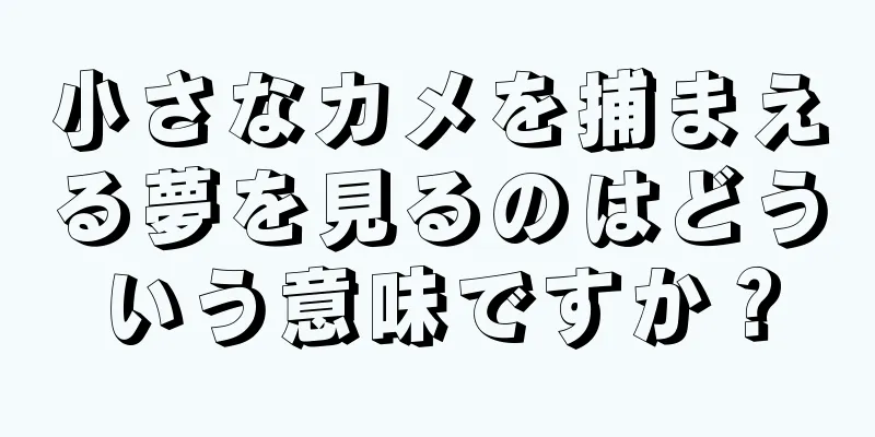 小さなカメを捕まえる夢を見るのはどういう意味ですか？