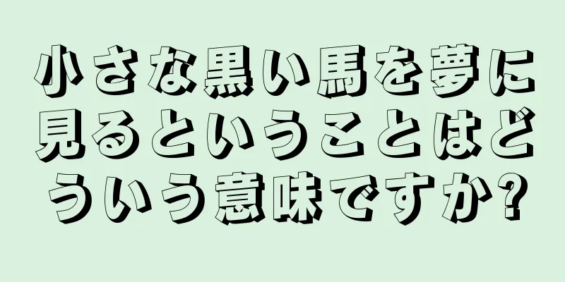 小さな黒い馬を夢に見るということはどういう意味ですか?