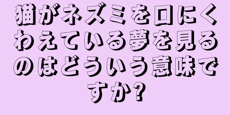 猫がネズミを口にくわえている夢を見るのはどういう意味ですか?