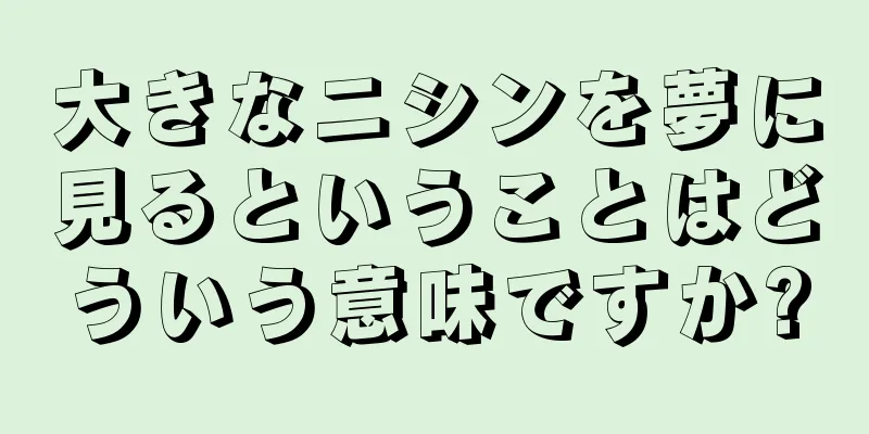 大きなニシンを夢に見るということはどういう意味ですか?