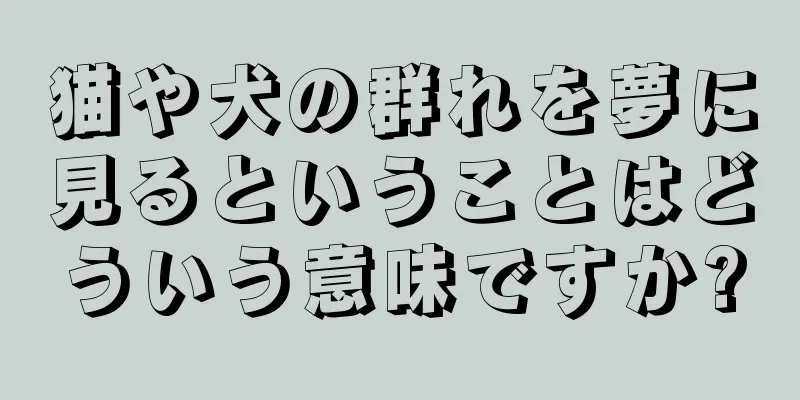 猫や犬の群れを夢に見るということはどういう意味ですか?