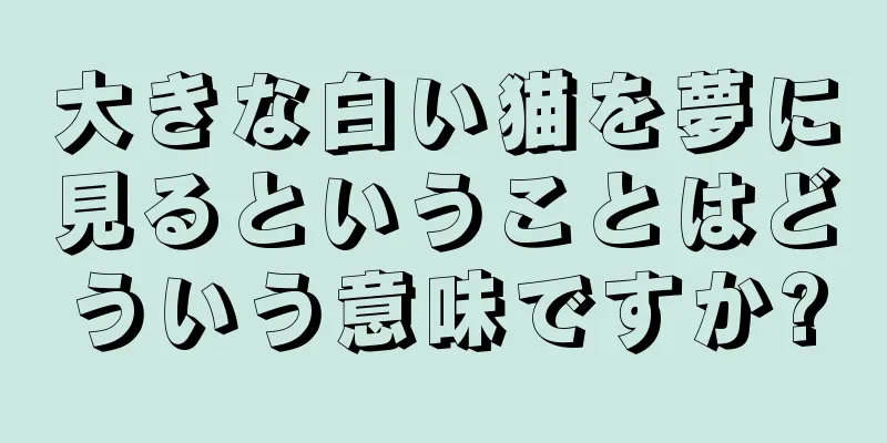 大きな白い猫を夢に見るということはどういう意味ですか?