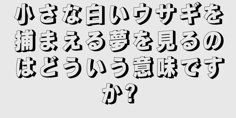 小さな白いウサギを捕まえる夢を見るのはどういう意味ですか?
