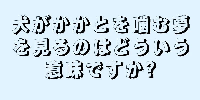 犬がかかとを噛む夢を見るのはどういう意味ですか?