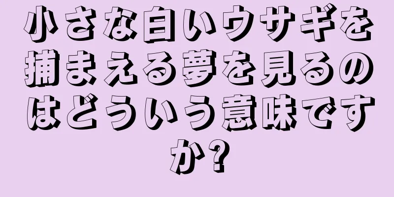 小さな白いウサギを捕まえる夢を見るのはどういう意味ですか?