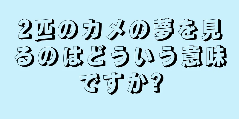 2匹のカメの夢を見るのはどういう意味ですか?