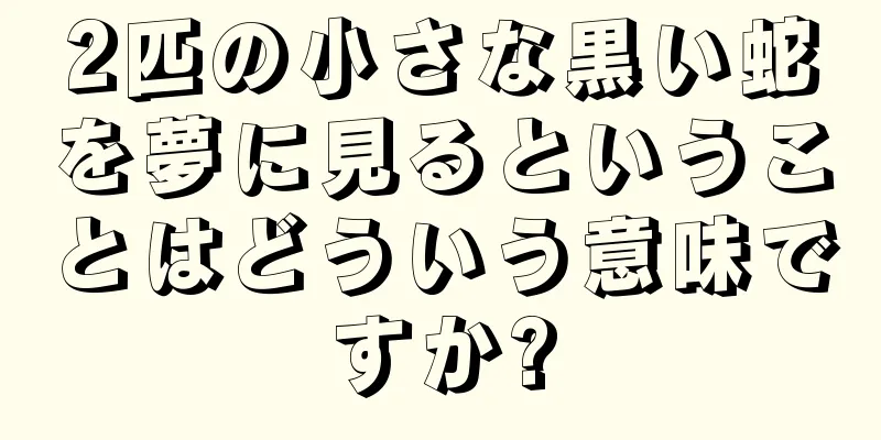 2匹の小さな黒い蛇を夢に見るということはどういう意味ですか?
