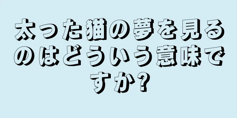 太った猫の夢を見るのはどういう意味ですか?