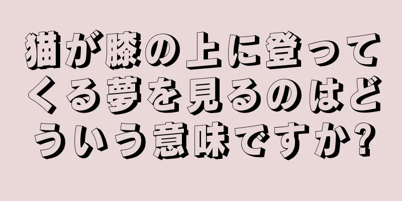 猫が膝の上に登ってくる夢を見るのはどういう意味ですか?