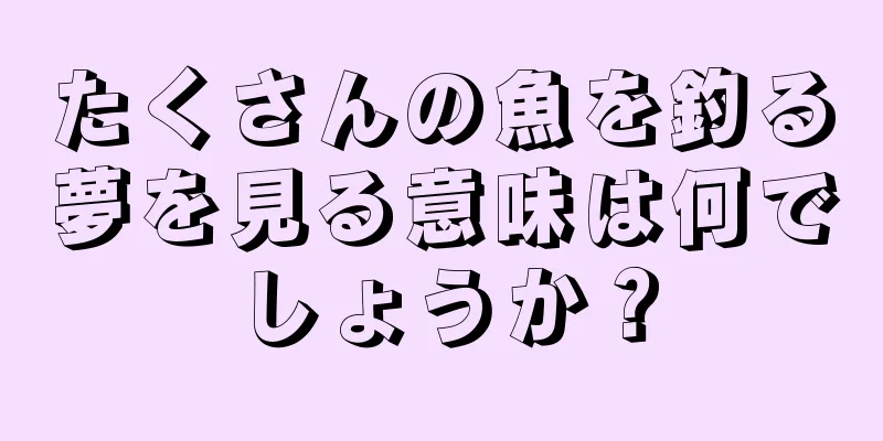 たくさんの魚を釣る夢を見る意味は何でしょうか？